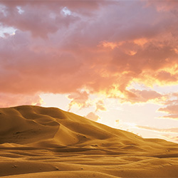 イルミナ新色アース　イメージ画像