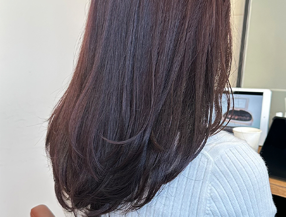 モデル写真 イルミナカラー マリーン