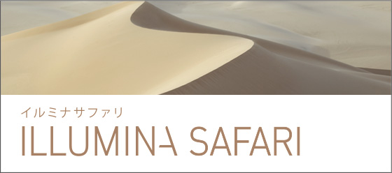 イルミナサファリ