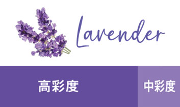 ラベンダー