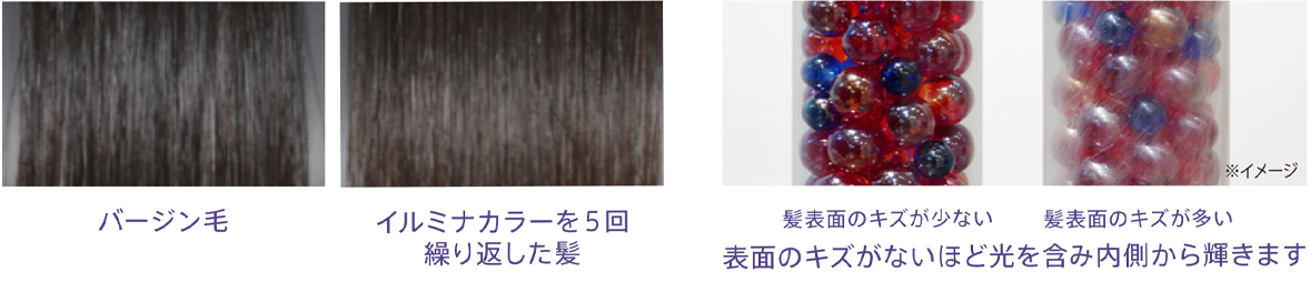 バージン毛とイルミナカラーを5回繰り返した髪のツヤの比較