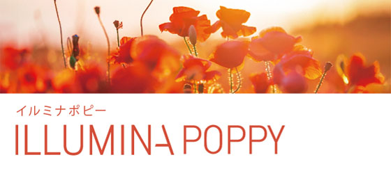 イルミナポピー