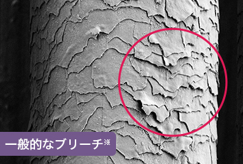 一般的なブリーチ※