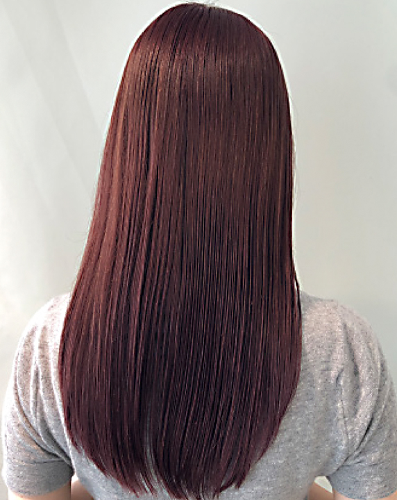 モデル画像　イルミナ　ブロッサム