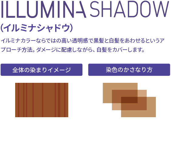 ILLUMINA SHADOW（イルミナシャドウ） イルミナカラーならではの高い透明感と黒髪と白髪をあわせるというアプローチ方法。ダメージに配慮しながら、白髪をカバーします。